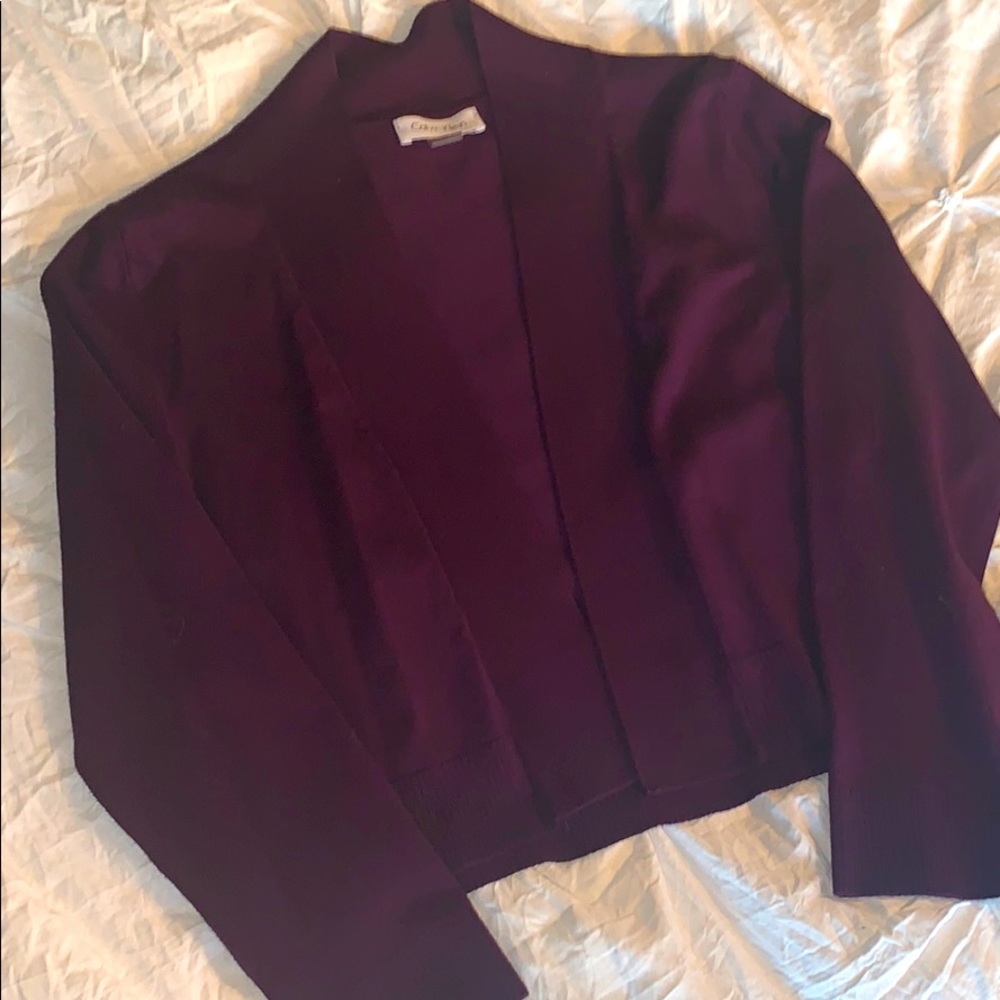 Calvin Klein Cropped Knit Sweater